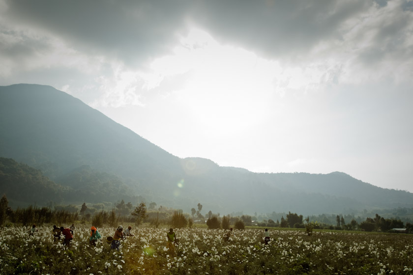 paulelledge_rwanda_04