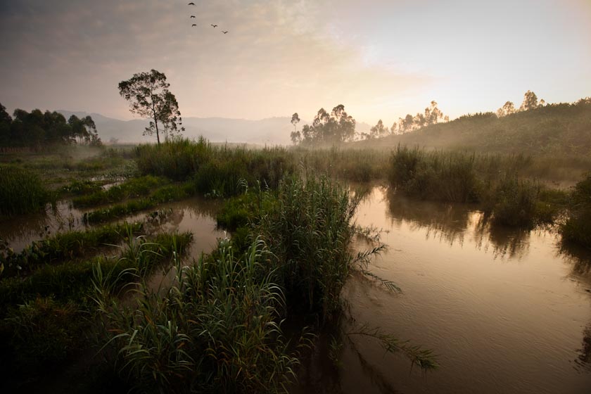 RWANDA LANDSCAPE