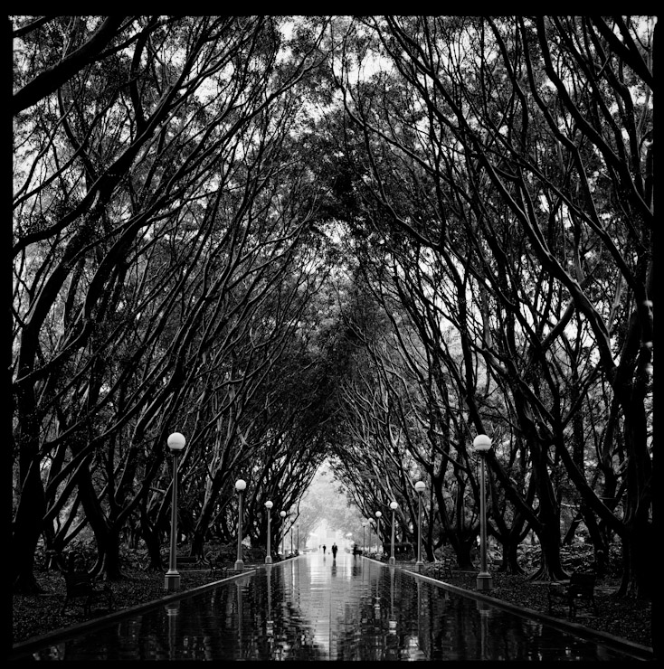 Hyde Park, Sydney Australia